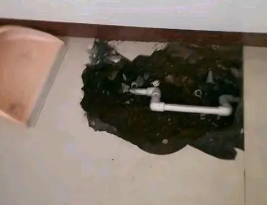 衡东卫生间测漏水多少钱